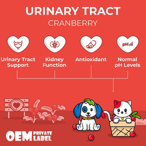 OEM ODM probiotik saluran urin Cranberry untuk anjing kandung kemih dukungan ginjal glukosamine Chondroitin perawatan kesehatan hewan peliharaan - Product Image 5