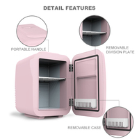 4l réfrigérateur cosmétique mode petits réfrigérateurs Mini Bar réfrigérateur avec serrure pour un usage domestique