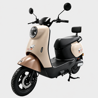 Moto électrique intelligente, scooter électrique à deux roues, 48v 800w, motos sportives, véhicule électrique motorisé