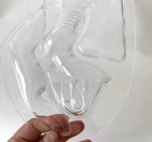 Modelo Anatómico Uterino Transparente Visible, Material Ecológico, Estándar Europeo, Pintura Avanzada No Tóxica, Vic Science Medical - Product Image 6