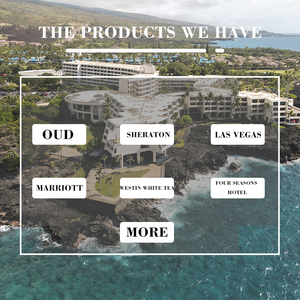 Personalizar Long Lasting Aroma óleo essencial Perfume Hotel Scents Difusor Óleo Alta Concentrada Perfume Vela Óleo De Fragrância - Product Image 5