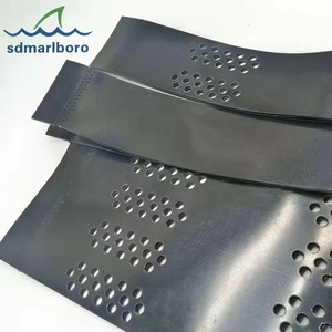 SDM ngăn chặn các Thảm Họa như Sụp Đổ lòng đường và lở đất đường lái xe <span class=keywords><strong>geocell</strong></span> - Product Image 4