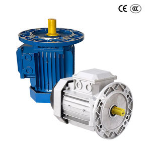 محركات كهربائية أحادية الطور من سلسلة YL الأكثر مبيعًا بقوة 0.5 حصان و2 حصان و3 حصان و4 حصان و5 حصان و10 حصان، 220-240 فولت، كفاءة IE2، حماية IP44/IP54 - Product Image 6