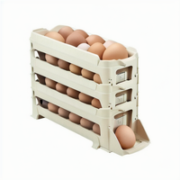 Offre Spéciale en plastique 4 Couches Coulissant Oeuf Outils Boîte De Rangement Auto Roulant Titulaire Oeufs Réfrigérateur Stockage Oeufs Conteneur De Stockage