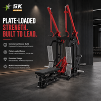 Machine de musculation commerciale SK à charge libre, double fonction (Lat Pulldown et Rameur assis), pour l'entraînement des dorsaux