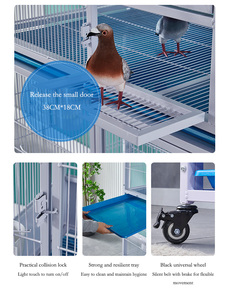 <span class=keywords><strong>Volière</strong></span> Spacieuse Supérieure et Durable Anti-Rongeurs pour l'Observation des Pigeons en Couple et l'Élevage en Extérieur - Product Image 6