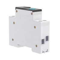 Interrupteur de disjoncteur intelligent Wi-Fi de mesure d'énergie 1P 63A, mini, pour rail DIN, pour maison intelligente, avec télécommande sans fil, Tren
