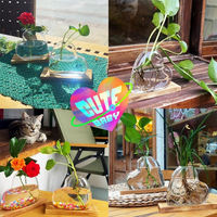 Pot de fleurs hydroponique en verre sur base en bois Art Déco créatif, design artistique, écologique, ornement de bureau pour la maison et le bureau