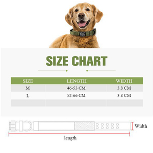 Collier Airtag Gps anti-perte pour animaux de compagnie avec poignée pour chien Laisse pour grand chien Collier tactique extérieur - Product Image 2