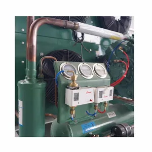 Conjunto completo de compressor semi-fechado do pistão da baixa temperatura da unidade de refrigeração do armazenamento frio do bitzer