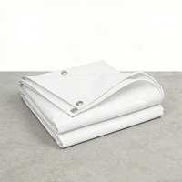Bâche en PE laminé sur mesure, imperméable avec œillets, protection solaire pour le transport extérieur