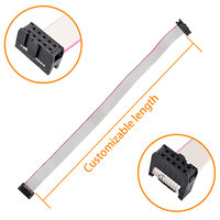Maßgefertigtes IDC 2,54 mm Rastermaß 10-poliges Flachkabel UL2651 28AWG 2x5 Positionen 10-Wege-Buchsenkabel Verlängerungsbandkabel