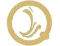 Shaoxing Qiya Imp And Exp Co., Ltd. logo