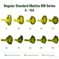 Poudre de thé vert Matcha certifiée HALAL et Nop, marque privée, qualité standard, poudre de Matcha de grade A-10A, vente en gros en vrac