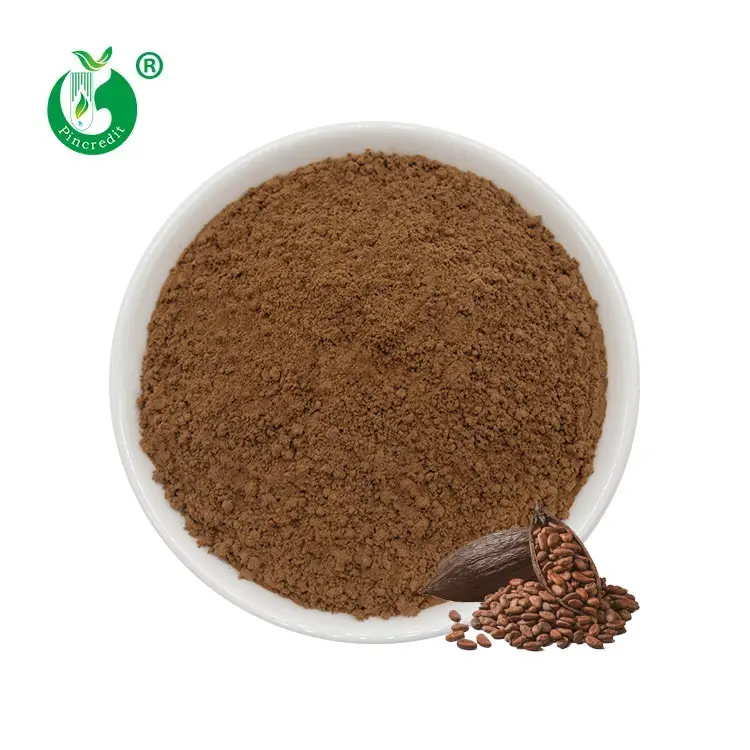 Factory Bulk Price 25kg Non Alkalized Natural Cocoa Powder