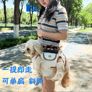 Small To <b>Medium</b> Dog Travel Bag Four In One Breathable Mesh Lining Hand Carry <b>Backpack</b> For Pets - Product Image 2