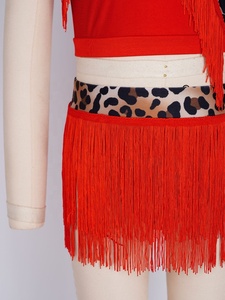 Vestidos de Baile Contemporáneo para Niñas de 6 a 16 Años, Venta al por Mayor, Traje de Baile Latino Estampado con Falda con Flecos, para Tango y Salsa - Product Image 5