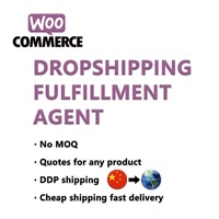 Entreprise de logistique chinoise professionnelle, livraison tout-en-un, stockage gratuit, transitaire, expédition DDP vers l'Europe et l'Amérique