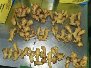 Jahe mentah organik segar bercelah untuk mitra bisnis pencari sayuran segar - Product Image 4