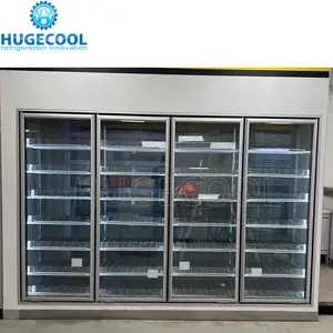Thương mại hiển thị tủ lạnh cửa kính đi bộ trong Cooler