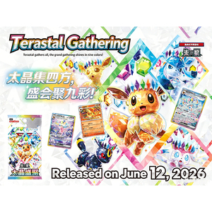 Nouvelle sortie : Boîtes de boosters de cartes à collectionner Eevee EX 17.5 Scarlet & Violet en chinois simplifié, TCG Famille Eevee SCV9.5C Eeveelutions - Product Image 6