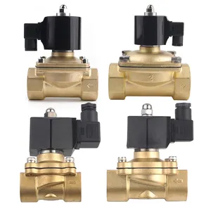 2W series 2 way 3/4 air brass electric solenoid water valve 12v 220v ac solenoid valves