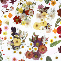 Kit de fleurs séchées pressées multi-tailles pour bricolage, matériel fait main pour moule en résine, décoration de coque de téléphone, confettis de mariage