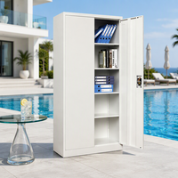Armoire de classement métallique robuste verrouillable en acier pour bureau, école et maison - Vente en gros usine