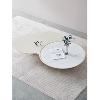 Table basse pivotante de style italien moderne minimaliste, luxe léger, avec espace de rangement, plateau en pierre pliable, pour salon, usage domestique, haut de gamme