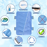 Compresse multifonctionnelle chaude/froide en gel pour soulager les douleurs dorsales, avec tissu en nylon, pour la rééducation et le soulagement de la douleur
