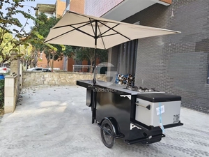 Carrito de Comida Triciclo de Diseño Moderno para Emprendedores - Product Image 3