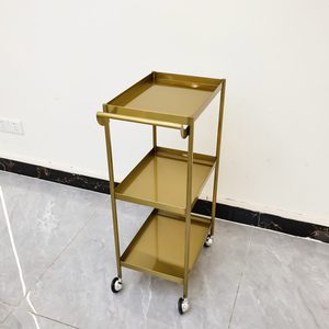 Cama de Spa Portátil Plegable de PVC con Accesorio de Masaje para Sala de Estar, Dormitorio y Uso en Exteriores - Product Image 2