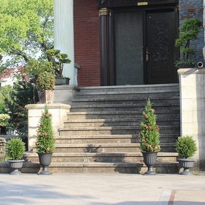 Hai 4ft (1.2M) cây tuyết tùng nhân tạo topiary cây UV đánh giá chậu cây cây bụi nhân tạo bụi cây chậu cây trong nhà ngoài trời - Product Image 4