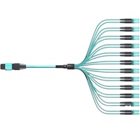 Cordon de brassage optique MPO vers LC MPT monomode OS2 SM G657A2 12 fibres 24FO, délai de livraison rapide usine