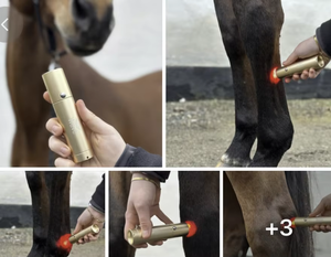 Máquina Inteligente de Terapia a <span class=keywords><strong>Laser</strong></span> Médico para Reabilitação Veterinária de Gatos, Cães e Cavalos - Product Image 6