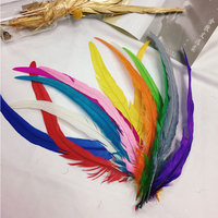 Plumes de queue de coq teintées longues 40-45 cm en vente pour carnaval et accessoires vestimentaires décoratifs