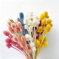 Bunga Kering Awet Dipsacus Sativus Eryngium Sea Holly 10 Buah Bunga Buah Thistle Besar Dekorasi Langit-langit Rumah Pernikahan