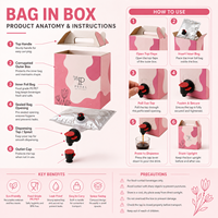 Pochettes souples personnalisées 3L 5L de qualité alimentaire, anti-humidité, avec bec verseur et valve supérieure pour vin, bière, jus et boissons énergisantes, sérigraphiées