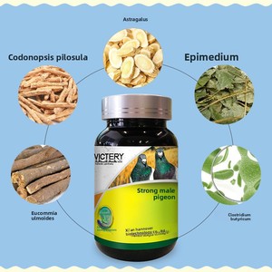 Medicamento para Palomas que Estimula el Potencial Reproductivo, Diseñado Específicamente para la Reproducción de Palomas Mensajeras y Productos para el Cuidado de la Salud de las Palomas - Product Image 4