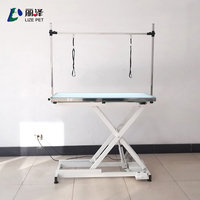 Tables de beauté pour chiens LZ, table d'examen vétérinaire à hauteur réglable avec LED, table de toilettage électrique à levage croisé pour animaux de compagnie