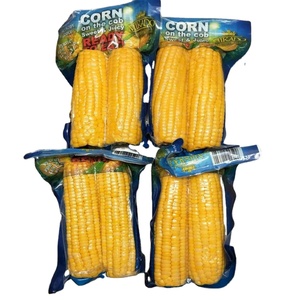 Pannocchia di mais dolce cinese di marca Mikado nuovo raccolto di alta qualità in confezione sottovuoto - Product Image 1