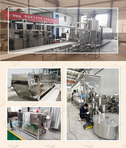 Gelgoog OEM ODM Máquina para Moler Mantequilla de Nueces, Cacahuetes y Avellanas, Equipo de Producción de Mantequilla de Frutos Secos, Venta Caliente - Product Image 6