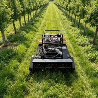 Machine de défrichage industrielle robuste à chenilles diesel télécommandée pour l'agriculture, le jardinage et la foresterie