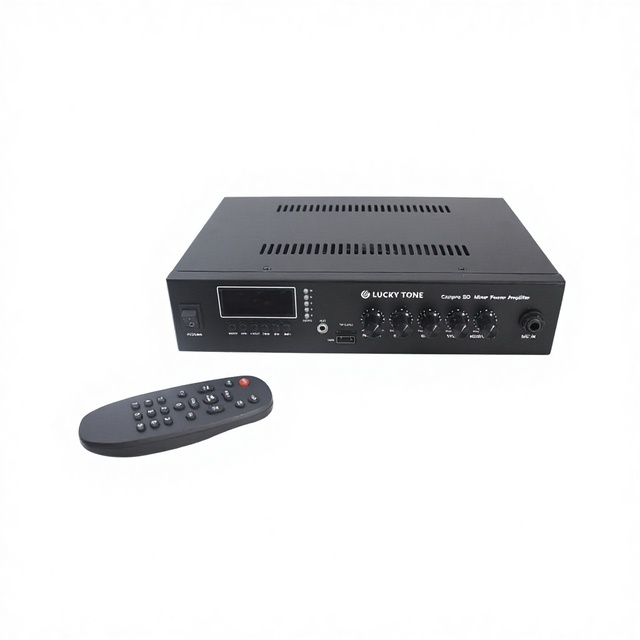 V Class-D Compact Amplifier with Mic Priority for Guided City Tour Bus Communication in Portable PA Amplifier