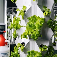 Système hydroponique vertical Grow Tower pour la culture d'ananas