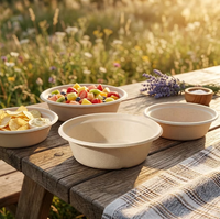 Offre Spéciale – Bols jetables de 300 ml à large ouverture, cylindriques, avec couvercle, écologiques, à base de plantes, compatibles micro-ondes, 100 % biodégradables et résistants à la chaleur