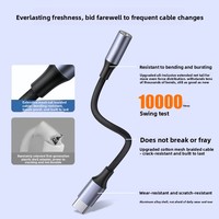 Adaptateur de câble audio en gros entièrement compatible avec USB-C vers audio numérique DAC/amplificateur (dongle)
