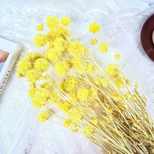 Fleurs séchées naturelles à 100 %, fleurs séchées conservées, fruits de moulin à vent, gousses de scabieuse uniques pour la décoration de vase - Product Image 3