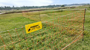 ตาข่ายรั้วไฟฟ้าโพลีเอทิลีนไฮดรอยด์ (HDPE) สำหรับสัตว์ปีก แพะ แกะ |   รั้วกั้นปศุสัตว์แบบพกพา เป็นมิตรกับสิ่งแวดล้อมและทนทานต่อรังสียูวี - Product Image 3