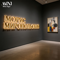 Enseigne lumineuse LED 3D personnalisée en métal rétroéclairé, lettres murales extérieures pour entreprises, salons, logos d'entreprise, bureaux, magasins, transformateur inclus